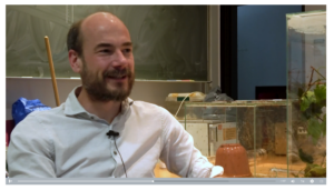 Screenshot from an interview